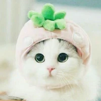 tiểu cửu*hệ thống 500*