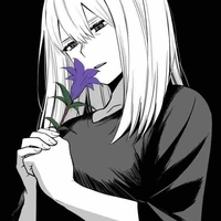 Rei Todoroki
