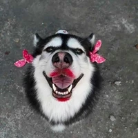 Cờ hó bt hút cần