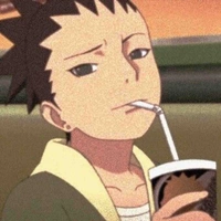 Nara Shikadai