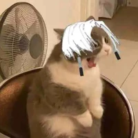 Tg thông mênh