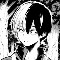 Todoroki Shoto