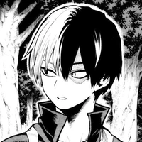 Todoroki Shoto