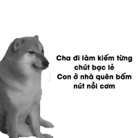 cả hai