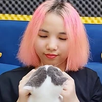 Yan