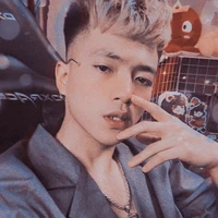 mister vịt