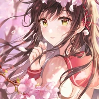Mistuba hakako 