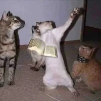 t/g không trầmkẻm