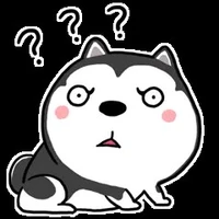 Võ Nguyễn Kim Nga(em tui)