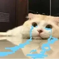 Con lười cấp thế kỷ