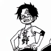 Portgas D.Ace