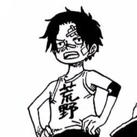 Portgas D.Ace