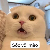 Tác giả:)