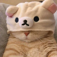 tác giả cute