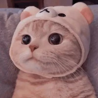 tg kim thay đổi avatar một chút