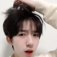 Hạ Tuấn Lâm
