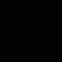 Nhân vật bí ẩn