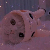 [Hệ thống]Pikaxu