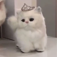 Tác Giả<3