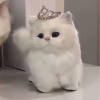 Tác Giả<3