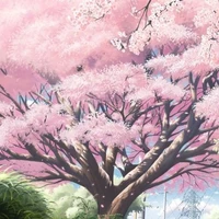 Hủ nữ đỉnh cao_Đệ tử Tiên Xu Phong