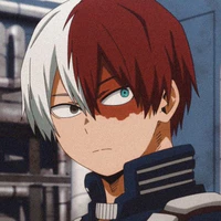 todoroki shoto