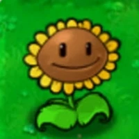 Sun flower