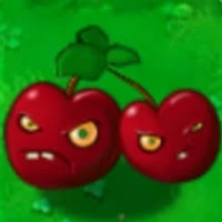 bom cherry