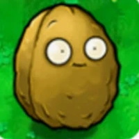 Wall nut