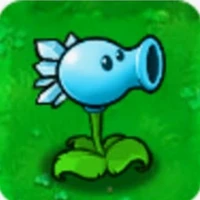 Snow pea