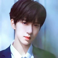 Hạ Tuấn Lâm (Papi các anh)