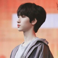 Nghiêm Hạo Tường (Papa các anh)