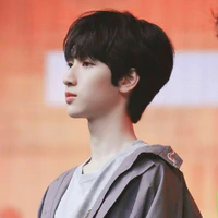 Nghiêm Hạo Tường (Papa các anh)