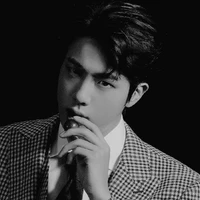 Kim Thạc Trân:Kim Seok Jin