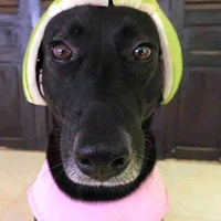 Cả đám