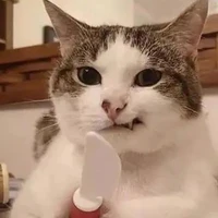 Tác giả ^^
