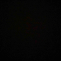 NVP