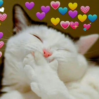 Các đọc giả :3