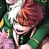 Todoroki Shouto