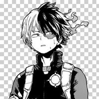 Shoto Todoroki