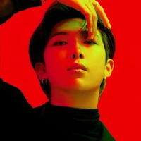 kim namjoon ( RM )