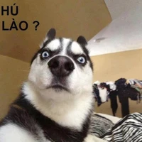 tg đẹp nhất quả đất (đẹp thấy bà cố)