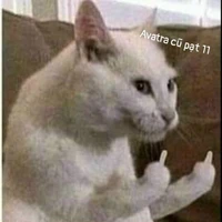 tác giả