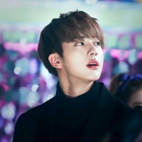 Kim seokjin ( mẹ cô)