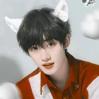 Đinh Trình Hâm (cậu)