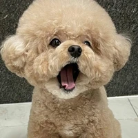 @lovebbigulf