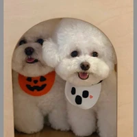 @mewmewiloveyoupacpac