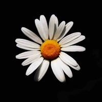 All