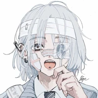 Y/N
