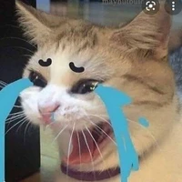 Tác giả chu che :3